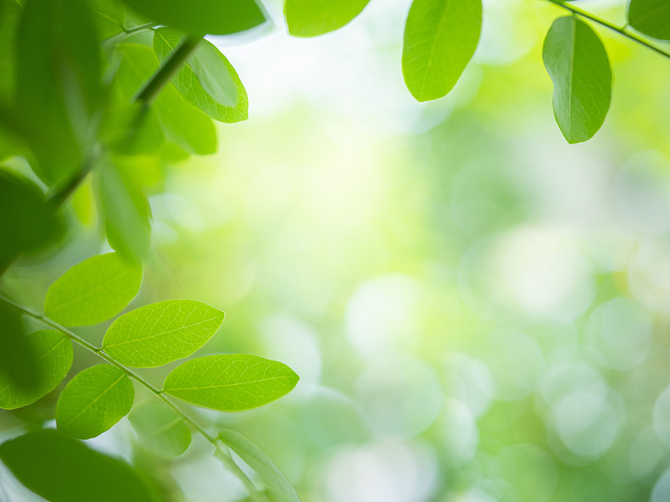 corporate social responsibility